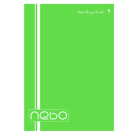 Caiet A4 80 file dictando coperta PP Nebo [4]