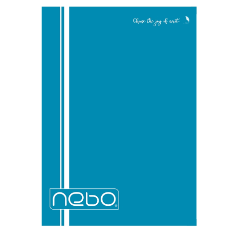 Caiet A4 80 file dictando coperta PP Nebo [7]