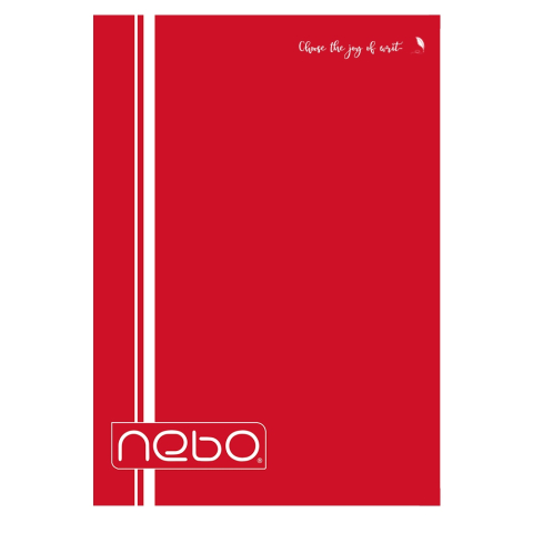 Caiet A4 80 file dictando coperta PP Nebo [5]