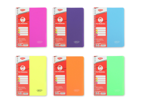 Caiete dictando - Caiet A5 120 file 4 subiecte coperta plastic spira Daco