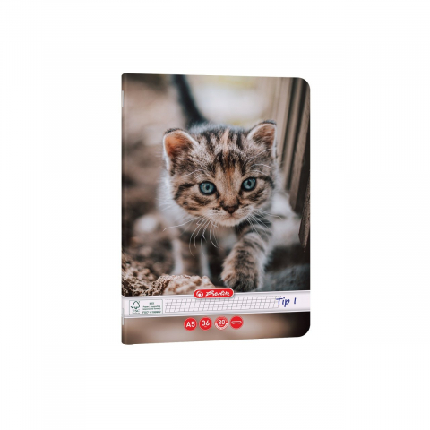 Caiet A5 Tip I 36 file motiv Cats & Dogs Herlitz [3]