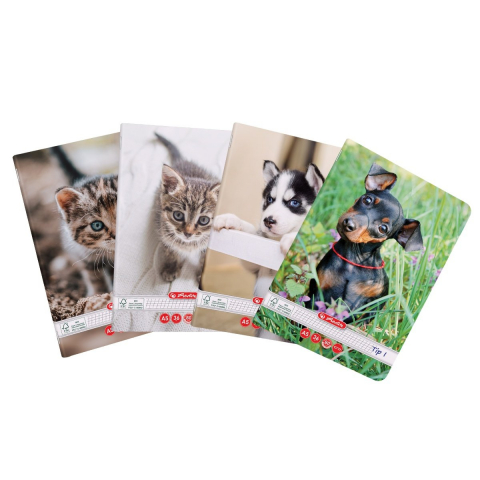 Caiete tip I, II și III - Caiet A5 Tip I 36 file motiv Cats & Dogs Herlitz