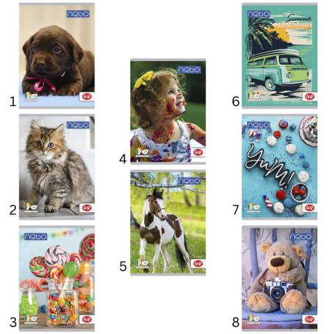 Caiete dictando - Caiet A5 48 file dictando Nebo