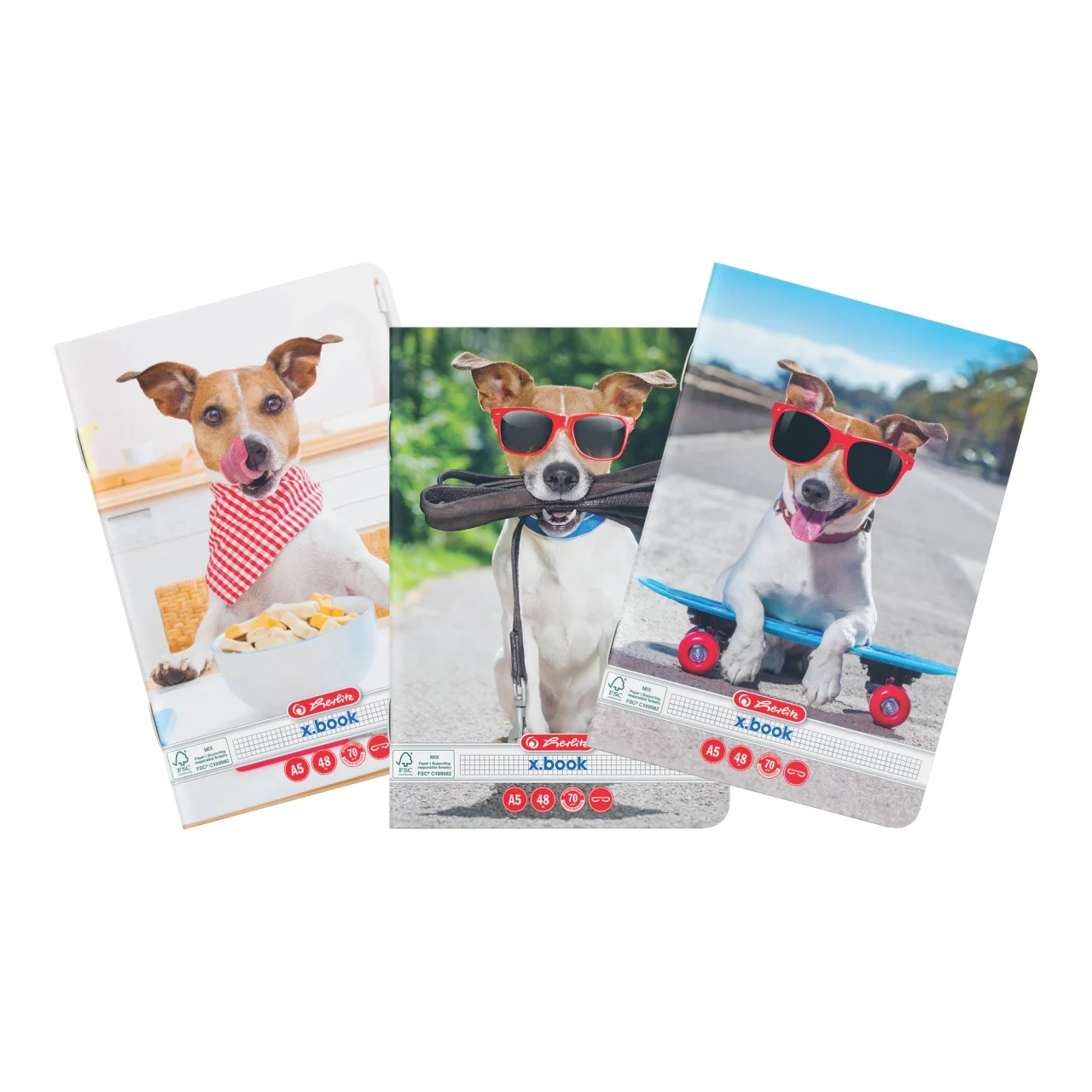 Caiete școlare și hârtie - Caiet A5 48 file matematica Cool Dog Herlitz