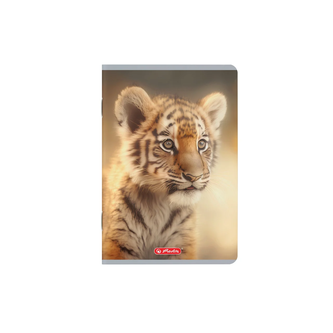 Caiet A5 48 file 70g/mp dictando motiv Megamix 2 [3]