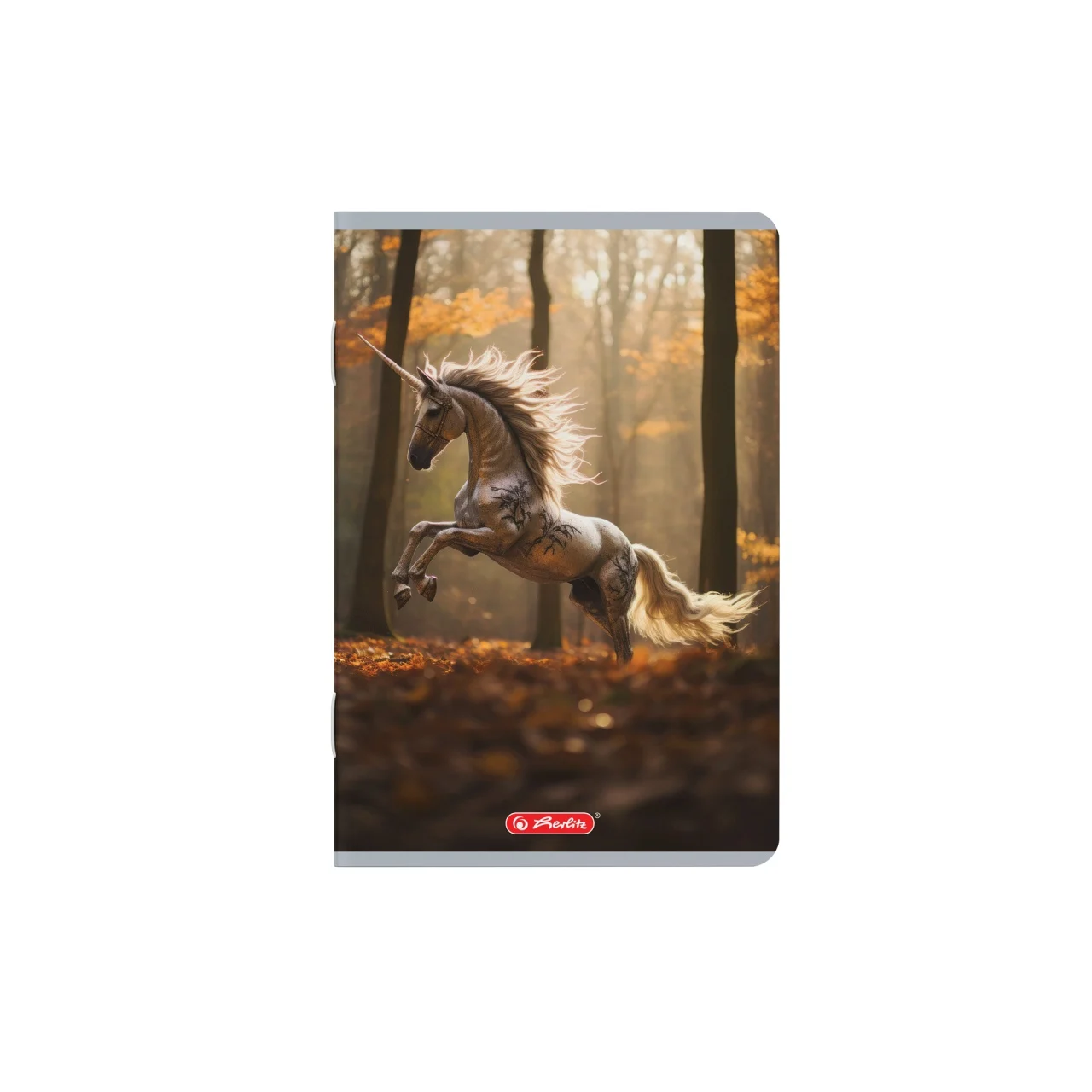 Caiet A5 48 file patratele motiv Megamix 2 Herlitz [3]