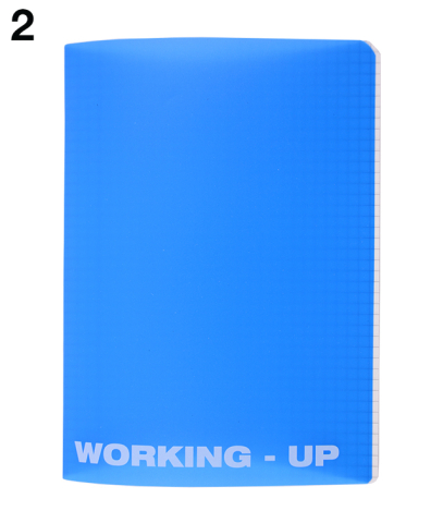 Caiet A5 48 file matematica coperta PP Working Up Pigna [2]