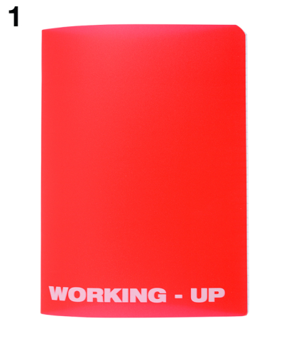 Caiet A5 48 file matematica coperta PP Working Up Pigna [1]