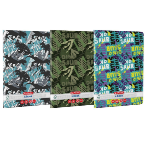 Caiete matematică - Caiet A5 48 file matematica Motiv Dino Mania Herlitz modele diferite