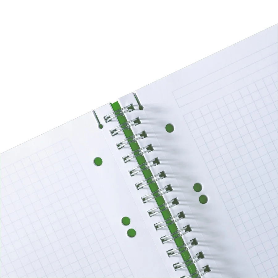 Caiet A5 80 file cu spira patratele verde Herlitz [2]