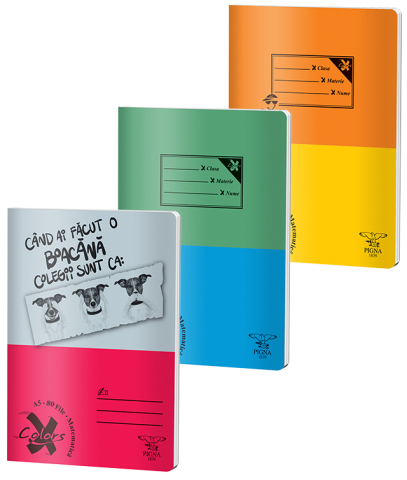 Caiete matematică - Caiet A5 80 file matematica basic Pigna