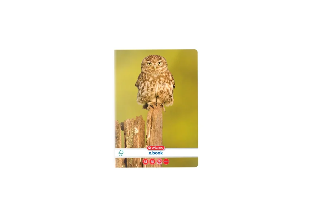 Caiet A5 matematica 48 file veline Animals Herlitz [3]