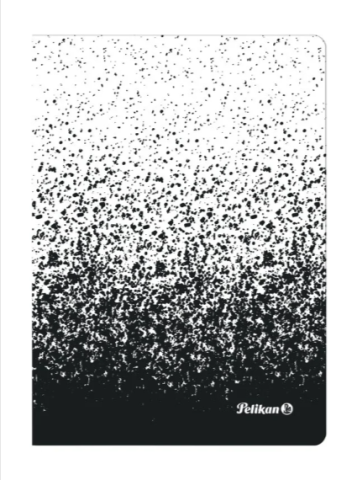 Caiete școlare și hârtie - Caiet A6 80 file matematica alb negru Color Edition