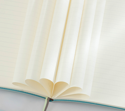 Caiet birou A5 96 file dictando coperta imitatie piele bleu Deli [2]