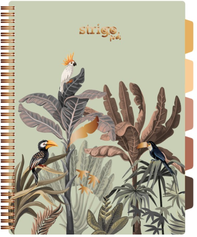 Rechizite școlare - Caiet matematica cu spirala si separatoare A4 Strigo Pads Project Book Africa 30x21 cm