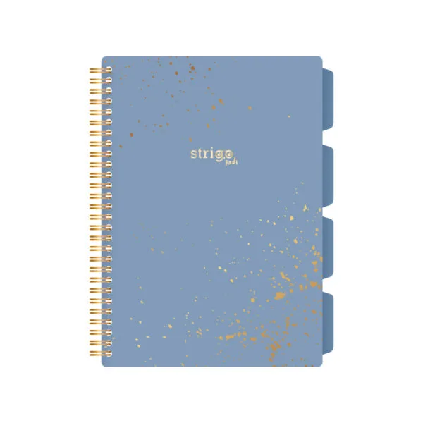 Caiete matematică - Caiet cu spirala si separatoare Strigo Pads B5 matematica 200 file