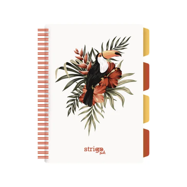 Caiete matematică - Caiet cu spirala si separatoare Strigo Pads B5 matematica 200 file