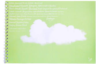 Caiet de Biologie B5 Izzie cu Teorie [1]