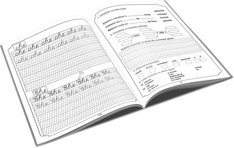 Caiet de scriere pentru romana - Mihaela Manoiu [1]
