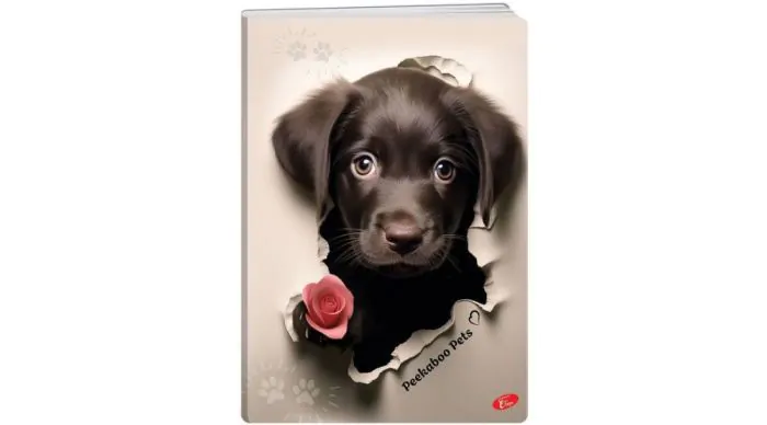 Caiet A5 48 file matematica Peekaboo Pets Elisa modele diferite [1]