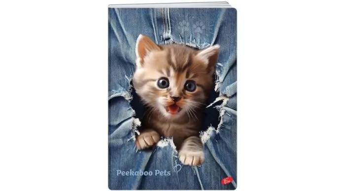 Caiete matematică - Caiet A5 48 file matematica Peekaboo Pets Elisa modele diferite