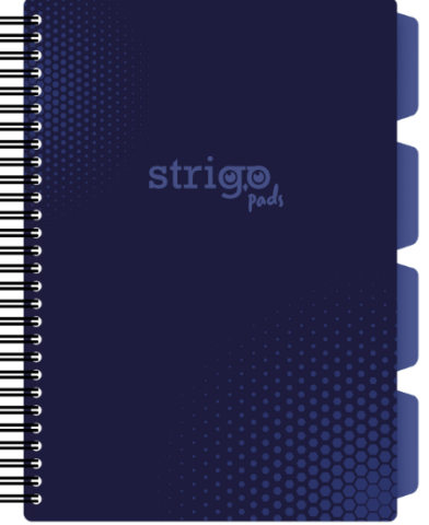 Caiete școlare și hârtie - Caiet matematica B5 Strigo Pads Project Book Basic albastru 100 file