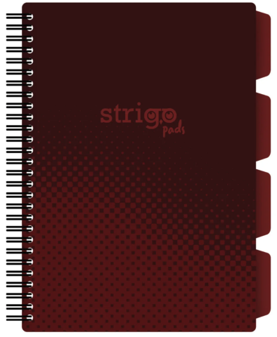 Caiete școlare și hârtie - Caiet matematica B5 Strigo Pads Project Book visiniu 100 file