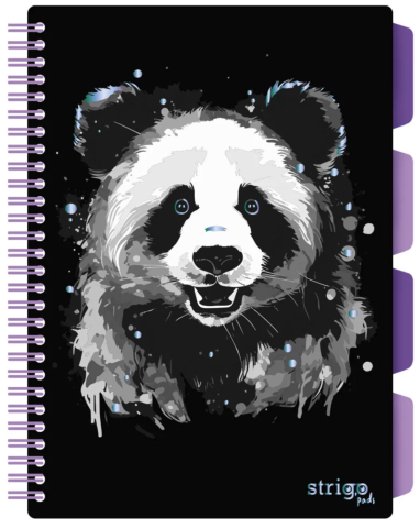 Caiete școlare și hârtie - Caiet matematica Strigo Pads Project Book Panda B5 negru 100 file