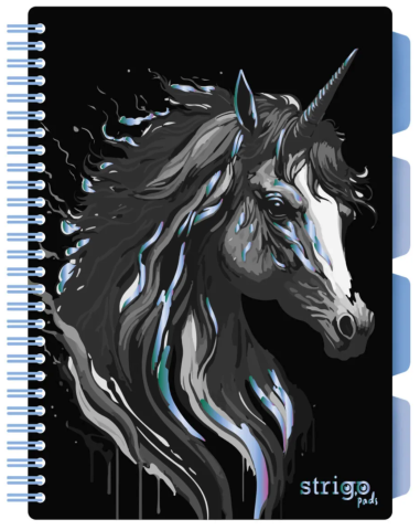 Caiete școlare și hârtie - Caiet matematica Strigo Pads Project Book Unicorn B5 negru 100 file