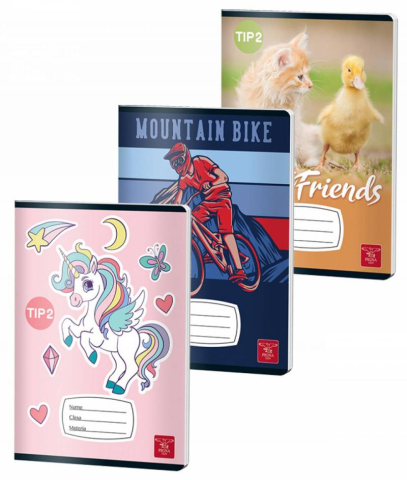 Caiete tip I, II și III - Caiet tip II A5 24 file Pigna