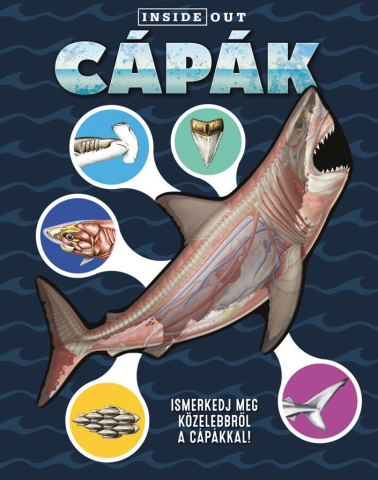 Cărți ilustrate și interactive - Capak - Sophia Willmann