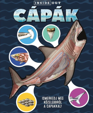 Cărți - Capak – 3D modell