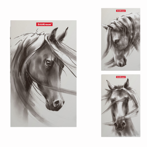 Papetărie și articole din hârtie - Carnetel Erich Krause Wild Horse 112 x 181 mm