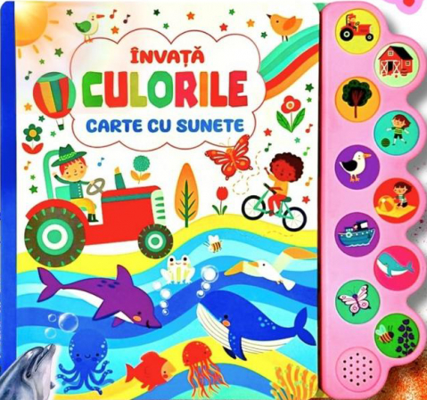 Cărți ilustrate și interactive - Învață culorile – Hartă cu soare | Carte interactivă pentru copii 0-4 ani, Flamingo Junior