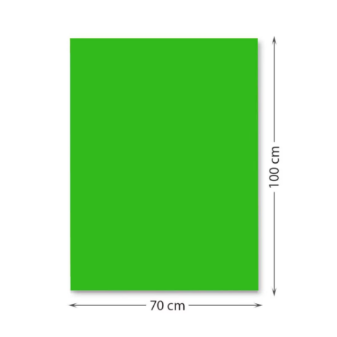 Noutăți Librăria Compas - Carton color 220 g/mp 70 x 100 cm verde FAVINI 1 coala