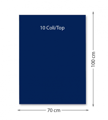 Promoții de Toamnă - Carton color 220 g/mp 70 x 100 cm 10 coli albastru inchis FAVINI