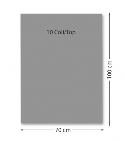 Promoții de Toamnă - Carton color 220 g/mp 70 x 100 cm 10 coli gri FAVINI