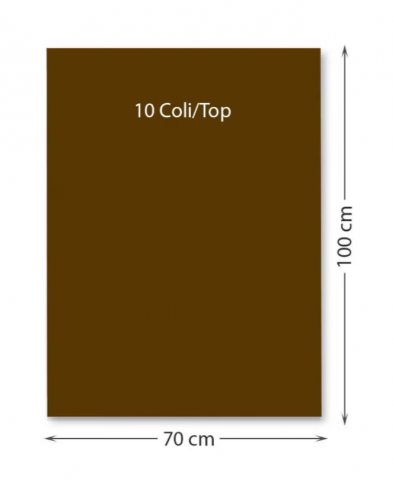 Promoții de Toamnă - Carton color 220 g/mp 70 x 100 cm 10 coli maro FAVINI