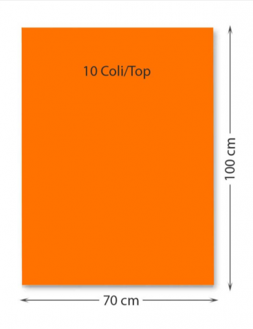 Promoții de Toamnă - Carton color 220 g/mp 70 x 100 cm 10 coli portocaliu FAVINI