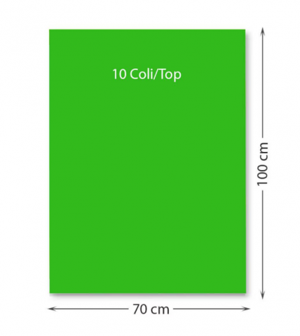 Promoții de Toamnă - Carton color 220 g/mp 70 x 100 cm 10 coli verde FAVINI