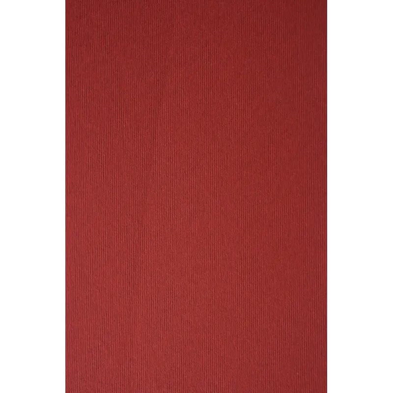 Rechizite școlare - Carton special A4 Nettuno Rosso Fuoco 280g 3/set