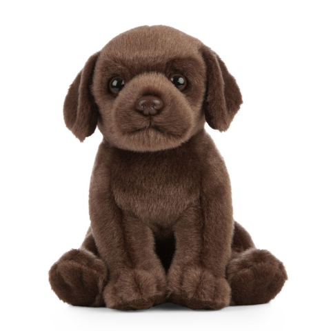 Jucării și jocuri - Catelus Labrador ciocolatiu din plus 16 cm Living Nature