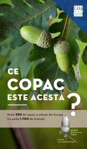 Gastronomie și hobby - Ce copac este acesta? - Roland Spohn, Margot Spohn