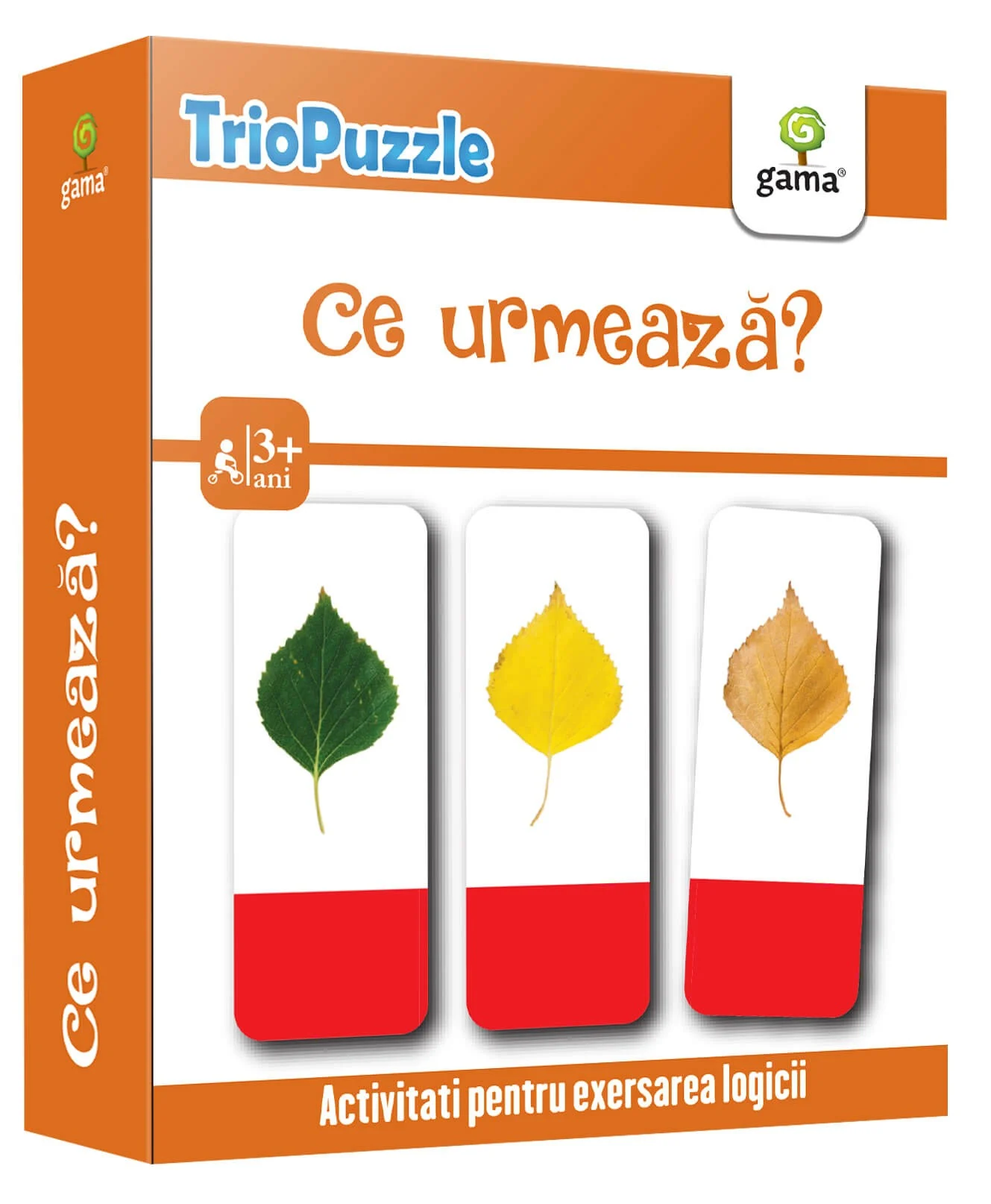 Noutăți Librăria Compas - Triopuzzle Ce urmeaza?