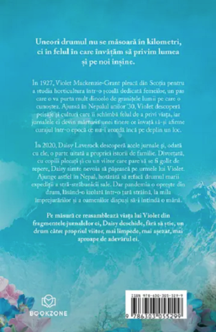 Cerul de sub noi – Fiona Valpy [1]