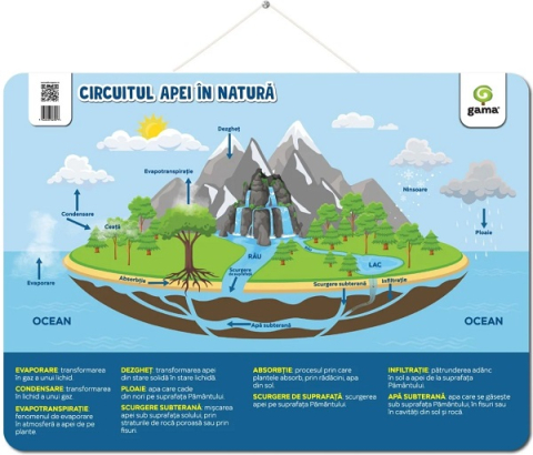 Culegeri și materiale auxiliare - Plansa: Circuitul apei in natura