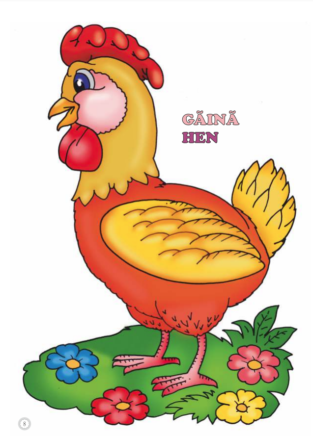 Coloram. Animale domestice. Desene mari pentru cei mici. B5 [1]