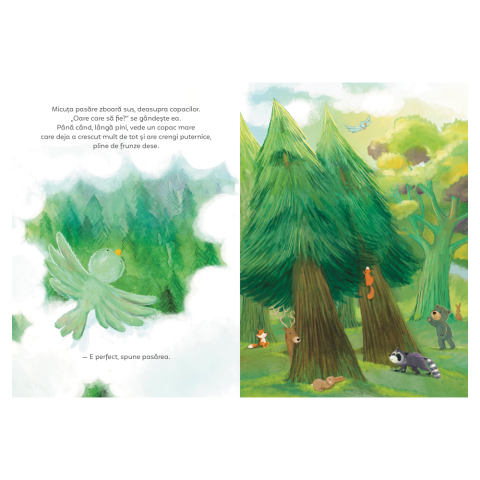 Copacii nu sunt doar pentru păsări. O poveste despre acceptare și armonie [2]