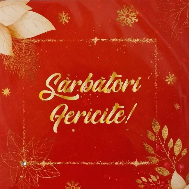 Articole Party - Felicitare Sarbatori Fericite rosu