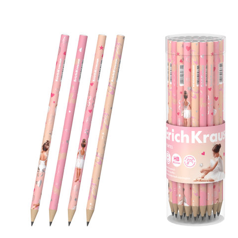 Birotică și accesorii birou - Creion grafit HB ErichKrause Pointes